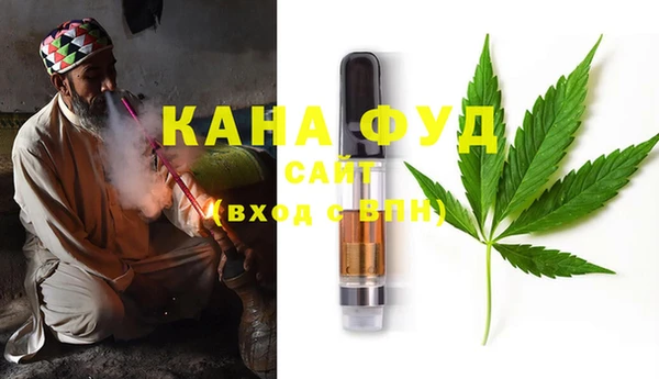 гидра Богородск