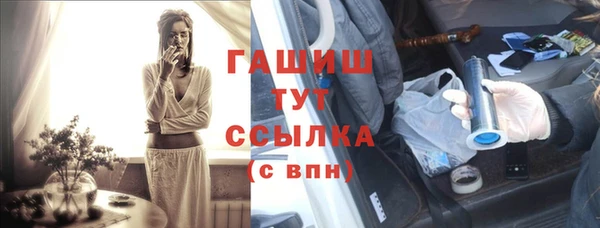 гидра Богородск