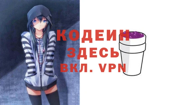 прущие грибы Няндома