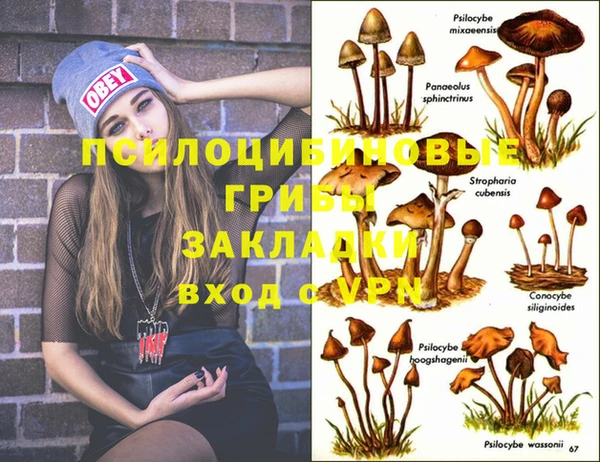 хмурый Бородино