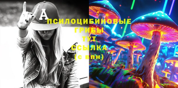 mdma Богородицк