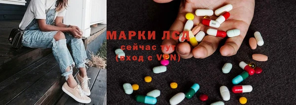 гидра Богородск