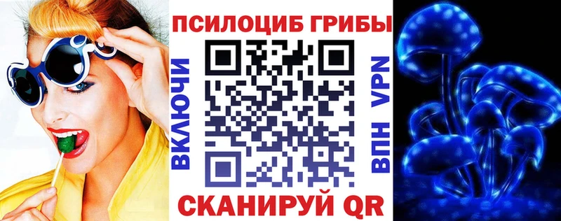 Псилоцибиновые грибы Magic Shrooms  хочу наркоту  Камышлов 